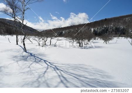 White wetlands White wetlands 27383207