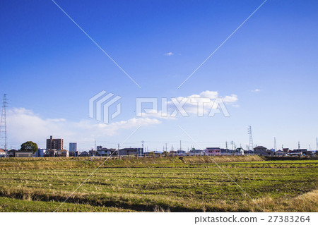 Rural scenery after harvesting rice Rural scenery after harvesting rice 27383264