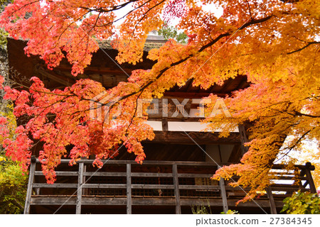 Kannondo and autumn leaves of Chokurakuji 27384345