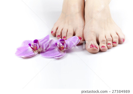 female legs pedicure red nail female legs pedicure red nail 27384989