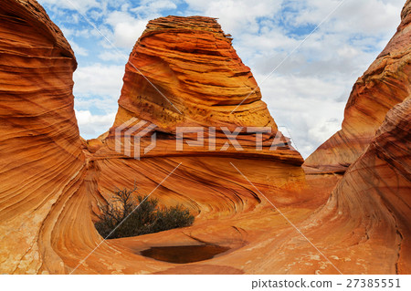 South coyote South coyote 27385551