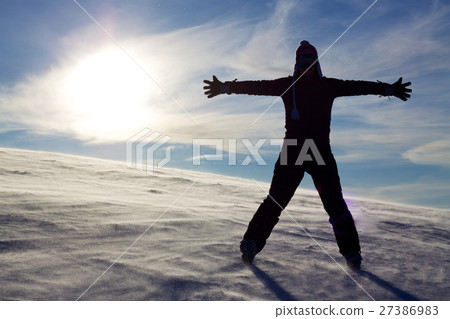 Winter silhoutte 27386983