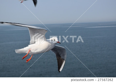 Ulysses over the sea Ulysses over the sea 27387262