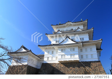 小田原城堡在陽光下 小田原城堡在陽光下 27387351