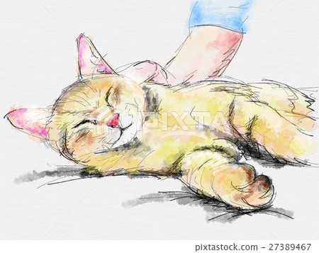 貓圖 貓圖 27389467