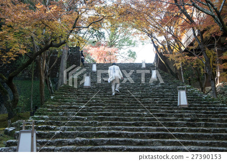 Late autumn Goto mountain bamboo temple Shikoku Shrine Plant 88th place Thirty-first Buddhist temple 27390153