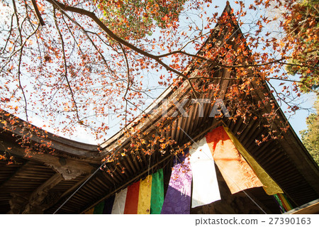 Late autumn Goto mountain bamboo temple Shikoku Shrine Plant 88th place Thirty-first Buddhist temple 27390163
