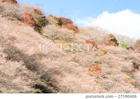 Obara Toyota Nagoya Japan 27390486