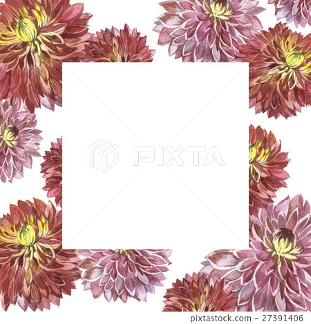 Wildflower aster flower frame in a watercolor 27391406