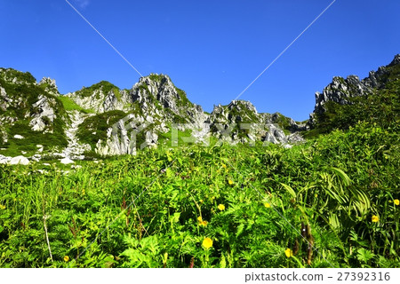 Senjakikoshi covered with fresh green Senjakikoshi covered with fresh green 27392316