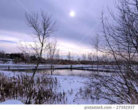 Toronto Lake the winter day 2016 27392937
