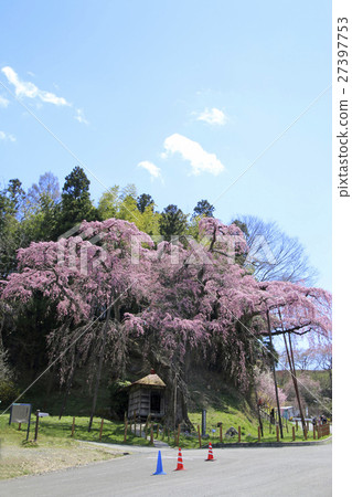 Zanchura Karakura (Koriyama city) 27397753
