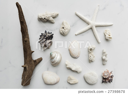 Starfish Seashell Summer Holiday Vacation Beach Concept Starfish Seashell Summer Holiday Vacation Beach Concept 27398678