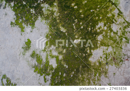 Cement floor background Cement floor background 27403836