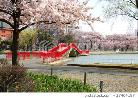 春天開放的山公園 春天開放的山公園 27404197