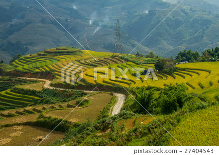 Rice fields prepare for transplant at Vietnam. Rice fields prepare for transplant at Vietnam. 27404543