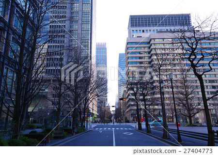 冬季城市綠樹成蔭的大道和廣角交叉口 27404773