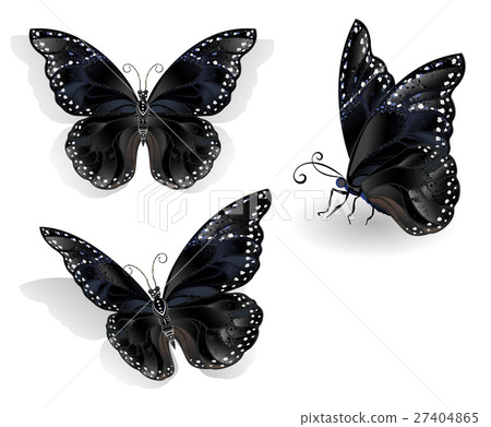 Set of black butterflies morpho 27404865