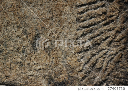 Rough rough skin Rough rough skin 27405730