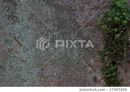 Rough rough skin Rough rough skin 27405800