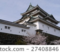 和歌山城堡和櫻花 27408846