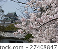 和歌山城堡和櫻花 27408847