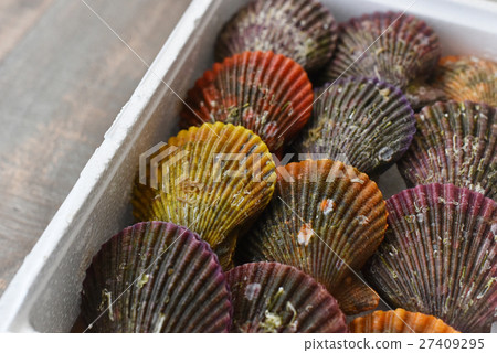 Hinagibana (Hibaigashi) 27409295