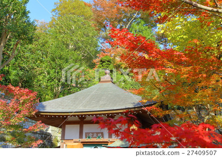 Autumnal leaves of Hase-dera [Kamakura City] 27409507