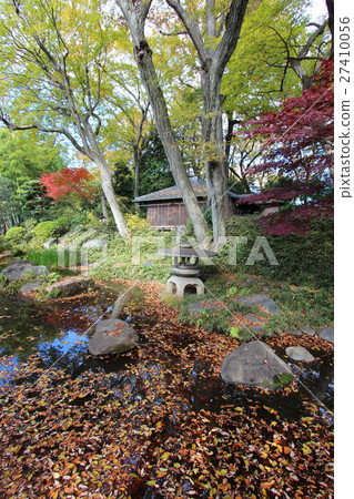 Autumn leaves of Kashiwa no Miya Park 27410056