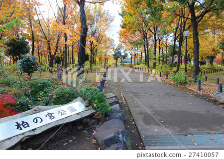 Autumn leaves of Kashiwa no Miya Park 27410057