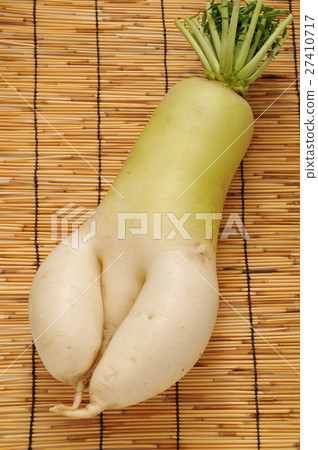 Japanese radish Japanese radish 27410717