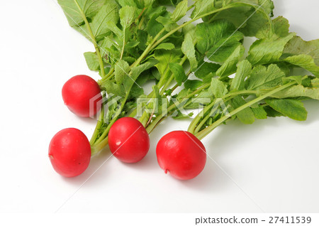 Radish Radish 27411539