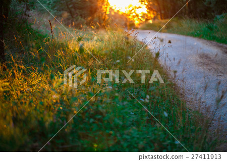 Sunrise in the early morning 27411913