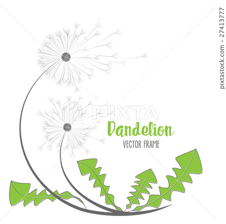 Vector dandelion flower 27413777