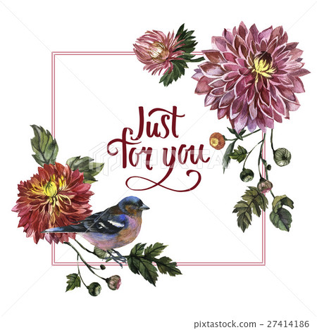 Wildflower aster flower frame in a watercolor Wildflower aster flower frame in a watercolor 27414186