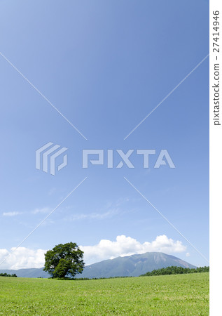 One cherry tree and Iwateyama summer 27414946