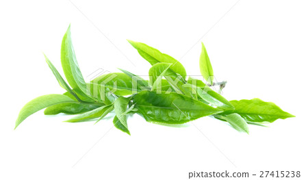 green tea leaf on white background green tea leaf on white background 27415238