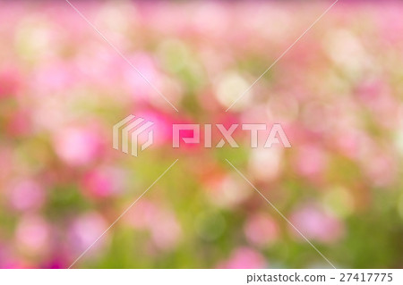 Abstract beautiful pink, white bokeh background Abstract beautiful pink, white bokeh background 27417775