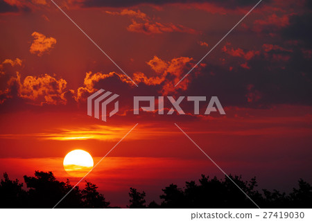 Epic sunset over the trees Epic sunset over the trees 27419030