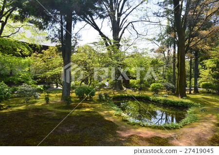 Moss garden · Pond (Hirokazu Temple · Kyoto Ward, Kyoto Ward) 27419045
