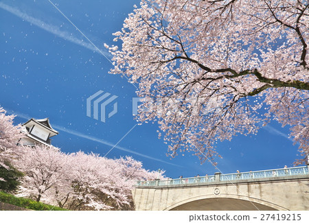 在金澤城公園的櫻花 27419215