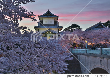 在金澤城堡公園的櫻花 在金澤城堡公園的櫻花 27419355