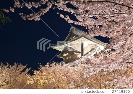 在金澤城堡公園的櫻花 27419360