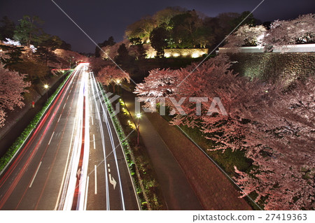 在金澤城堡公園的櫻花 27419363