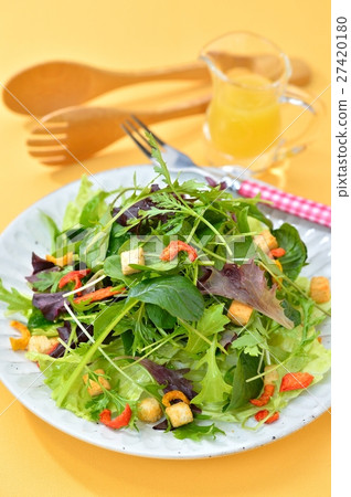 嬰兒葉沙拉。油煎麵包塊和乾辣椒粉洋蔥。測序儀敷料。下面的生菜。 27420180