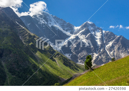Lovely green valley and snowy tall mountains 27420398
