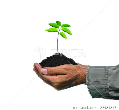 Farmer's hands holding a young plant, isolated  27421217
