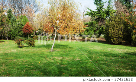 autumn at backyard and garden 27421638