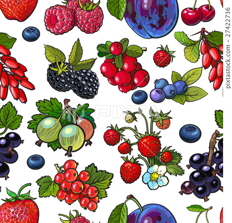 Sketched berries like blueberry, raspberry 27422736