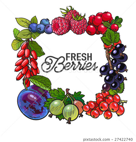 Square frame of garden berries with place for text Square frame of garden berries with place for text 27422740